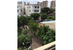 藍冠辦公大院俯視圖